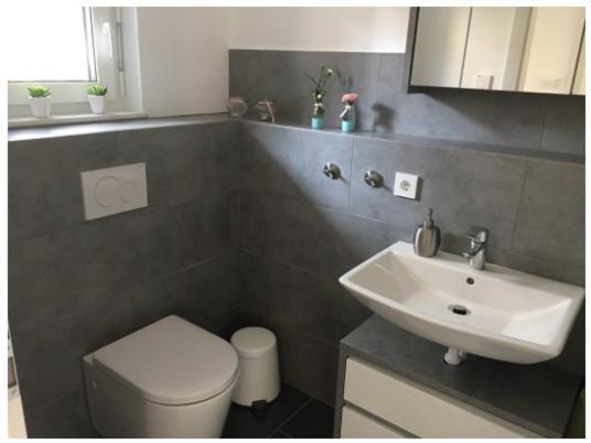Appartement Bodensee Nenzingen Hegau Orsingen-Nenzingen